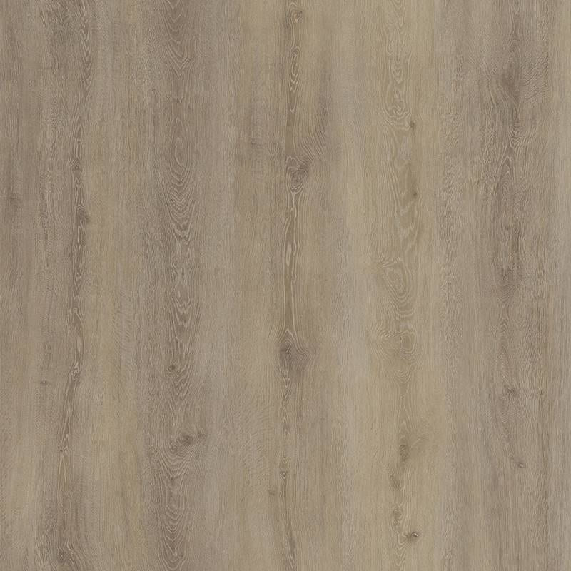 Swatch | Gambel Oak| High Country Collection